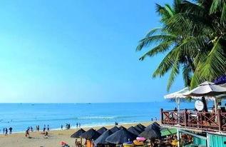 三亚最新旅游网红爆料事件,揭秘网红打卡地背后的真相